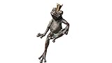 Steinfiguren Horn Wasserspeier Froschkönig, Bronze Frosch, Tierfigur für Garten & Teich