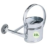 TTL Garden Metall Gießkanne 10L verzinkt - Zinkgießkanne mit Gießbrause abschraubbar - 10 L Volumen ovale rostfreie Zink Giesskanne verzinktes Stahl Blech Silber robust stabil praktisch & dekorativ