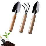 Gartenwerkzeug Set, 3-teiliges Gartengeräte Set Gartenschaufel Klein, Holzgriff Handheld Garten Schaufeln, Gartenarbeit Kleine Schaufel Ggartenset für Bonsai Werkzeug Pflanze Topfblumen