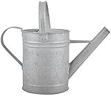 Esschert Design Altzink Gießkanne 1,6 Liter, 28x13,5x16,5 cm