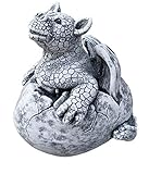 stoneandstyle Steinfigur Drache Gulliver im Ei, Frost- und wetterfest, massiver Steinguss