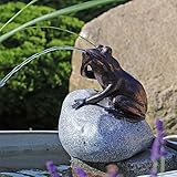 CLGarden Wasserspeier Komplettset Frosch auf einem Stein NSP10E mit strombetriebener 12V Pumpe Springbrunnen Wasserspiel für den Gartenteich Zinkwanne