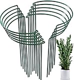 10 Stück Pflanzenstütze für den Garten, Metall Halbrunde Garten Pflanzenhalter Blumenstütze Pflanzenstütze für Topfpflanzen, Tomaten, Gemüse, Rose, Pfingstrose (20x35cm)