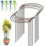 KAZITOO 8 Stück 40cm rostige Pflanze Stützpfeile, natürliche Rost Halbrunde Blume Unterstützung mit 4 Selbst Bewässerung Spikes, rostige Metall Vernetzung Garten Grenze für Pfingstrosen, Hortensie