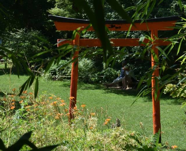 Torii im japanischen Garten