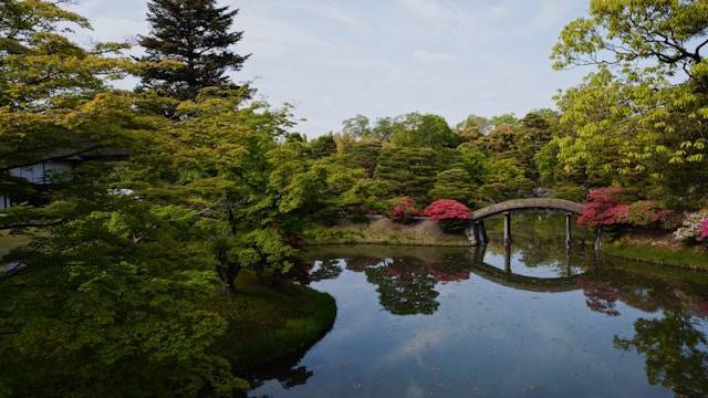 Teichbrücken im japanischen Garten