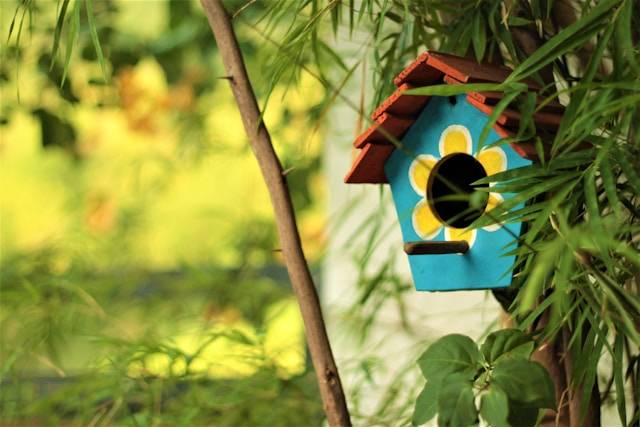 Nistplätze für einen tierfreundlichen Garten