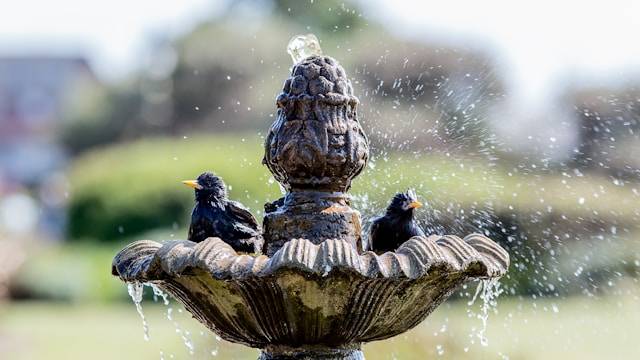 Wasserstellen in einem tierfreundlichen Garten