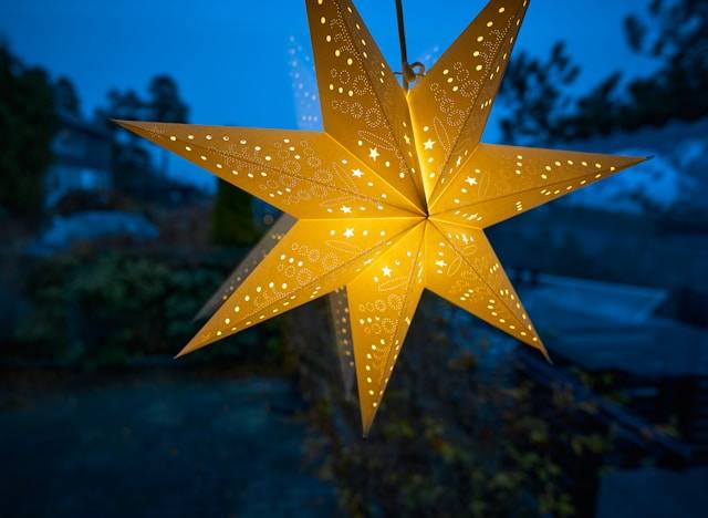 Weihnachtsstern als Gartendeko für Weihnachten